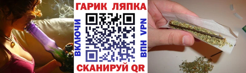 Купить где Гатчина ГАШ убойный