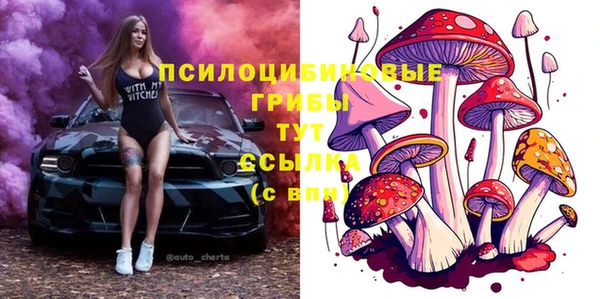 прущая мука Богородск