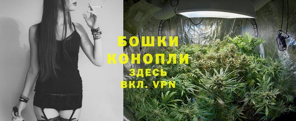 прущая мука Богородск