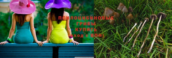 прущая мука Богородск