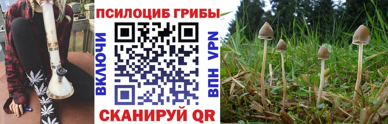 Галлюциногенные грибы мухоморы Купить где Гатчина