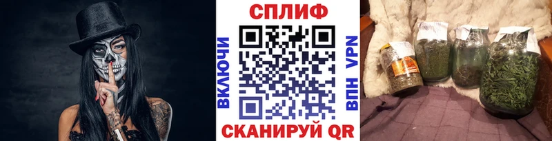 Канабис SATIVA & INDICA  Купить закладки  Гатчина 